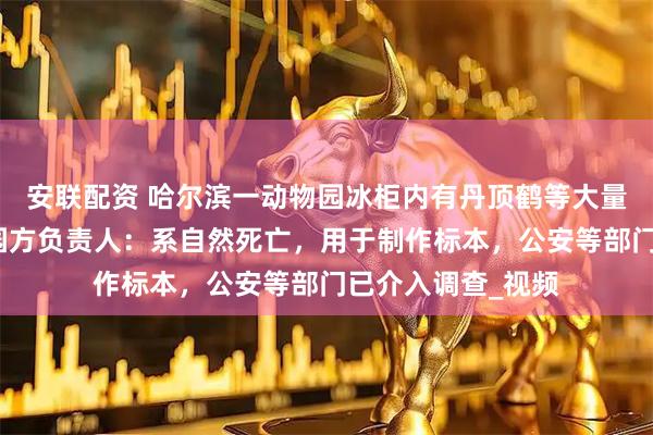 安联配资 哈尔滨一动物园冰柜内有丹顶鹤等大量野生动物尸体，园方负责人：系自然死亡，用于制作标本，公安等部门已介入调查_视频