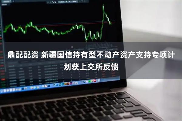 鼎配配资 新疆国信持有型不动产资产支持专项计划获上交所反馈